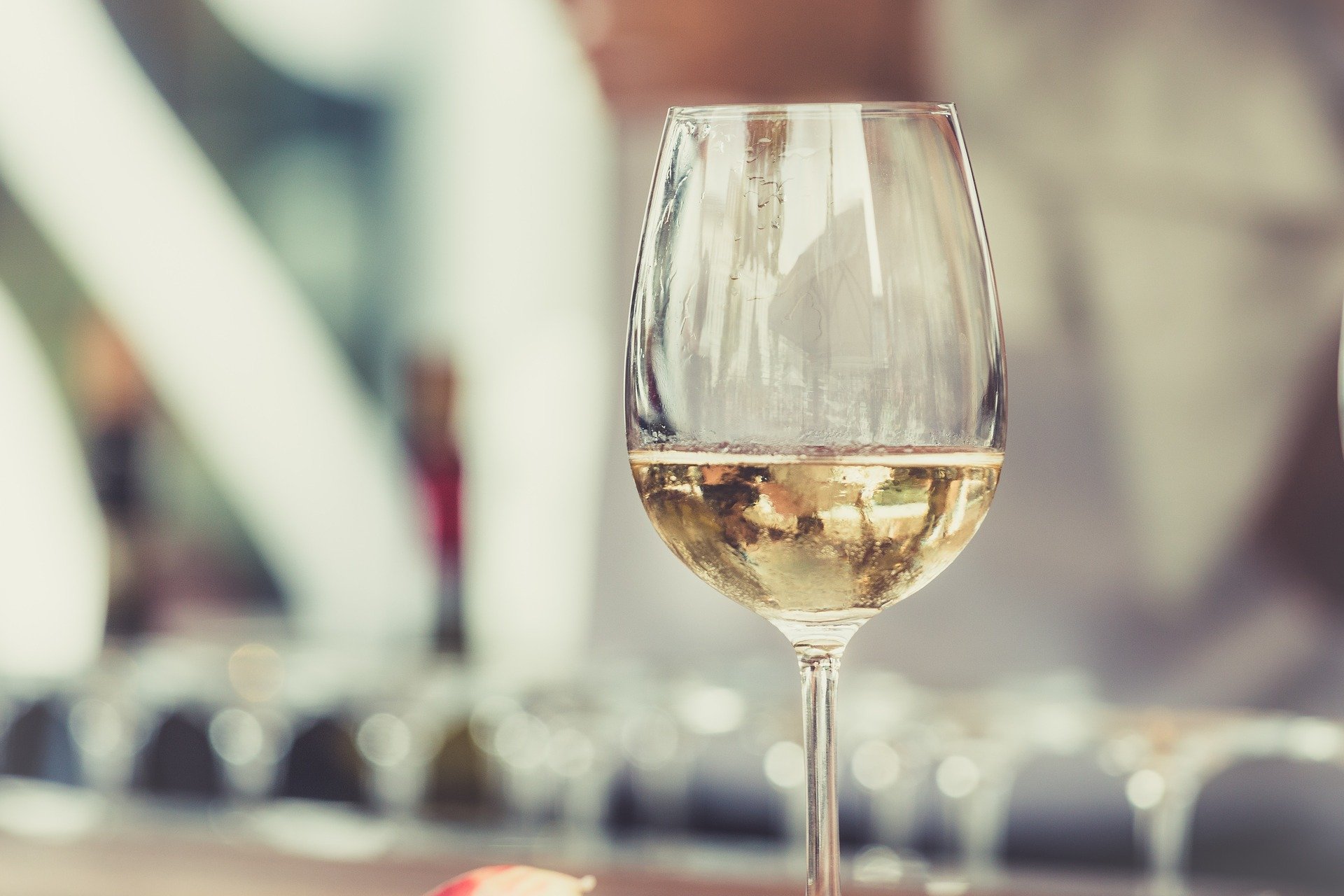 Weinzirkus eröffnet Welten des Genusses - jetzt Weißwein bestellen.